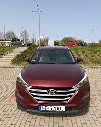 Hyundai Tucson cena 68900 przebieg: 115000, rok produkcji 2017 z Elbląg małe 106